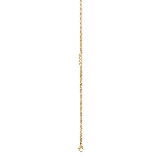 iXXXi Jewelry Collier 3mm met logo 80cm